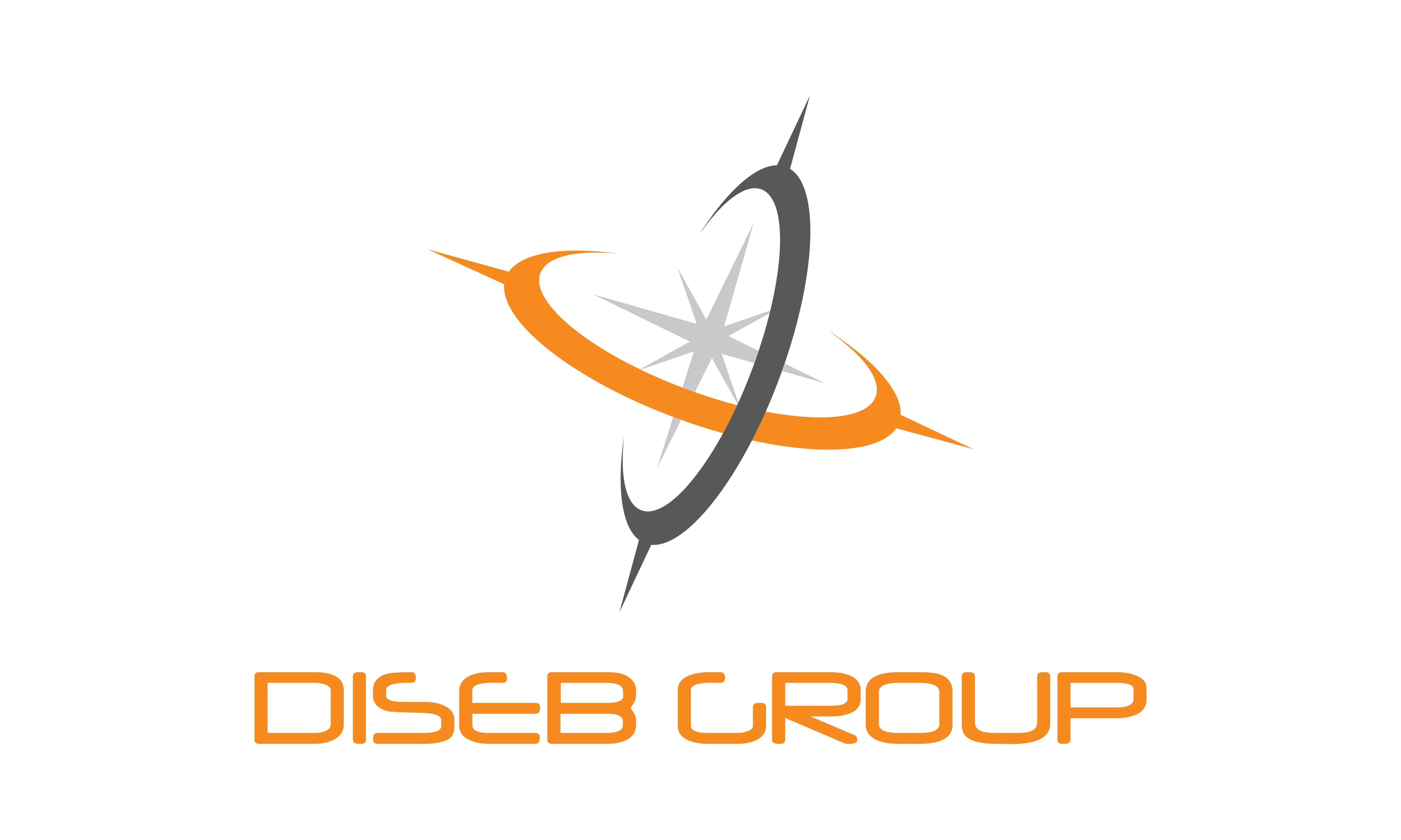 Diseb Group